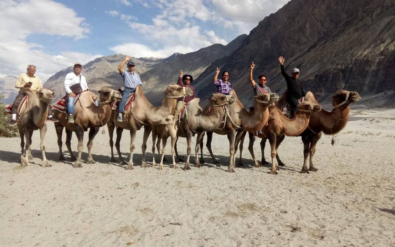 Camel Ride at Nubra Valley