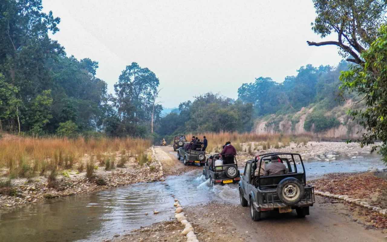 Enjoy Safari at Corbett