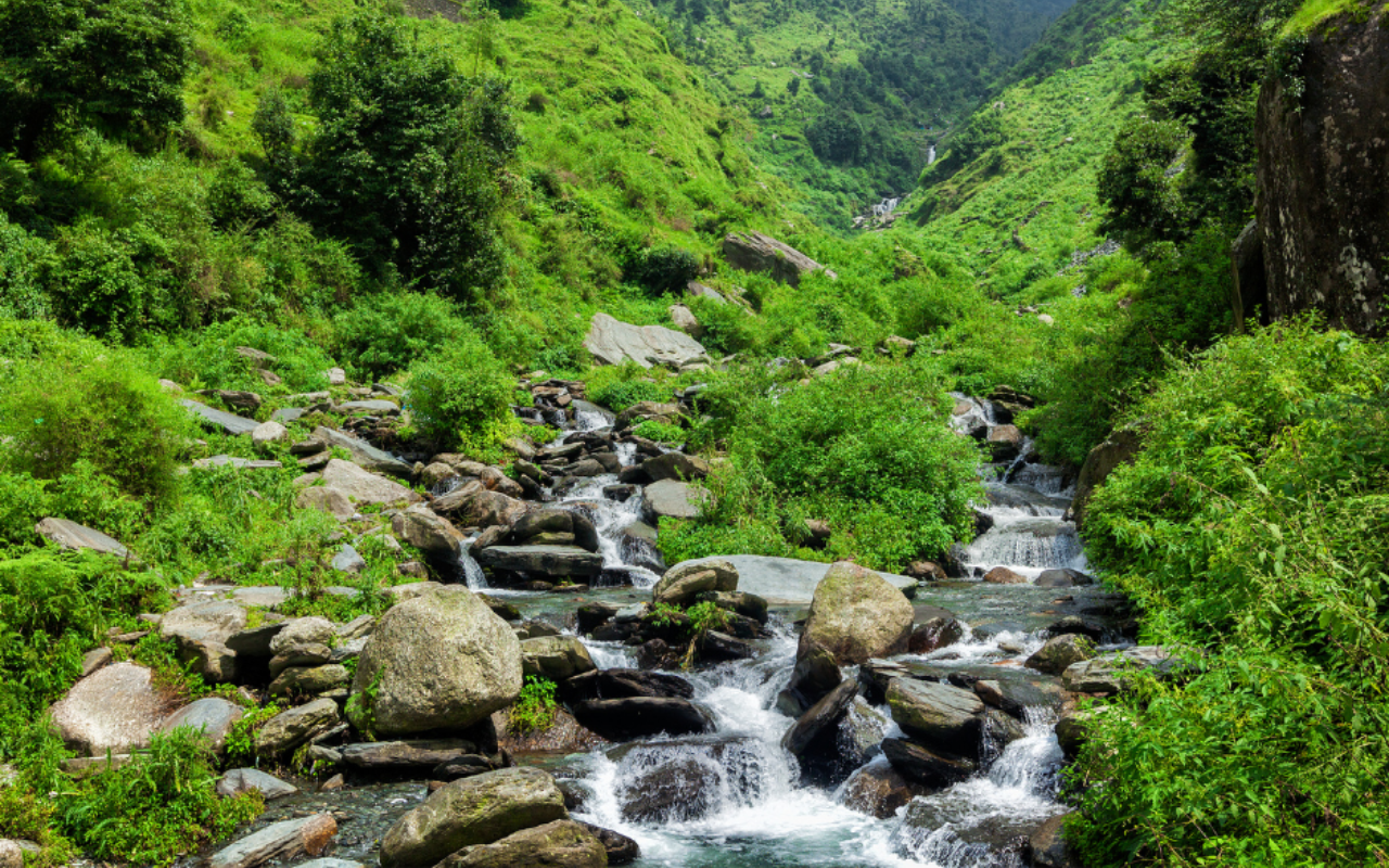 Visit the Bhagsunag Waterfall