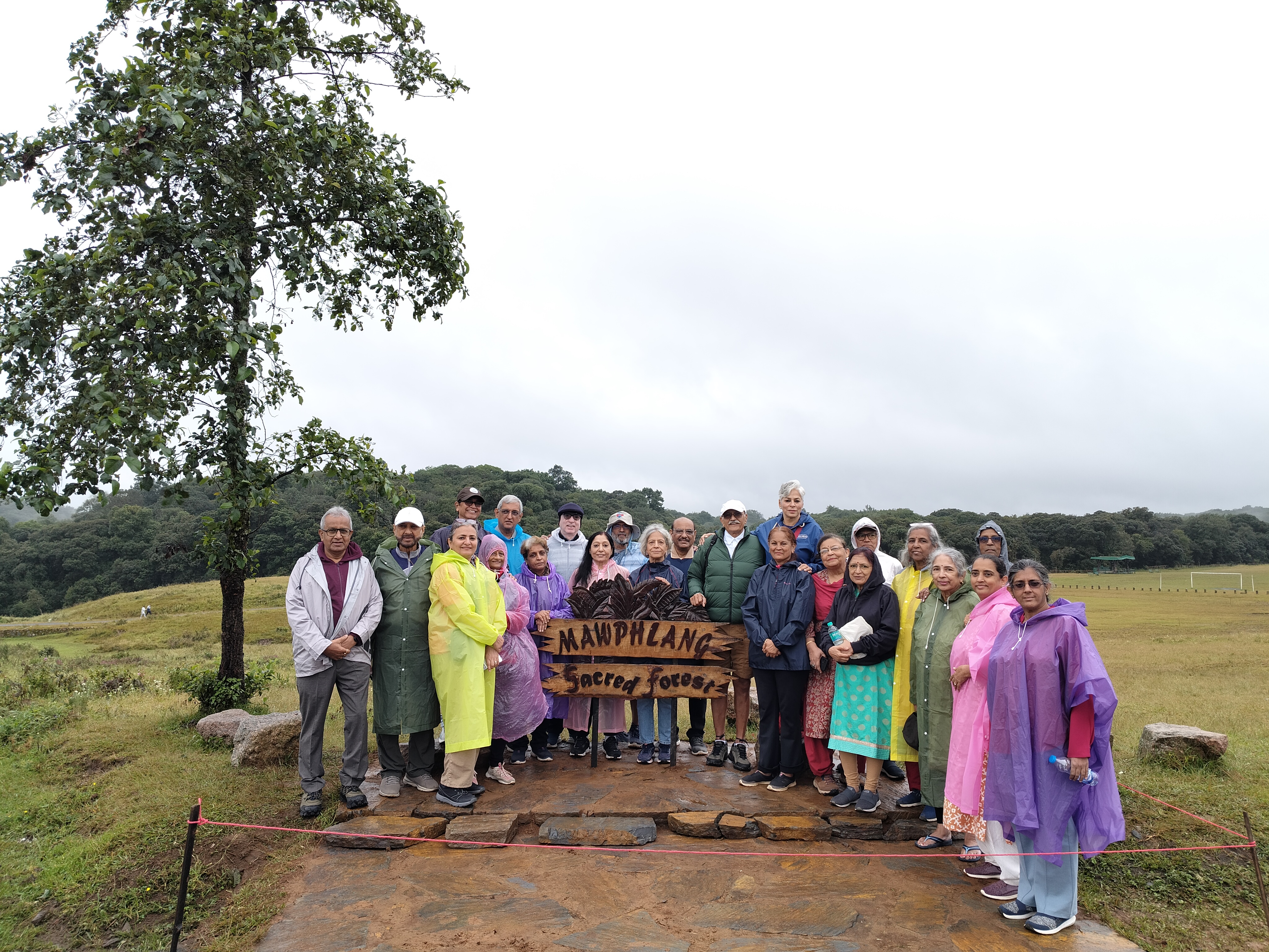 Guided Sacred Forest, hear the legends from the local guide