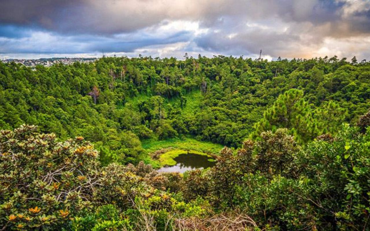 Explore the Dormant Volcano of Trou aux Cerfs